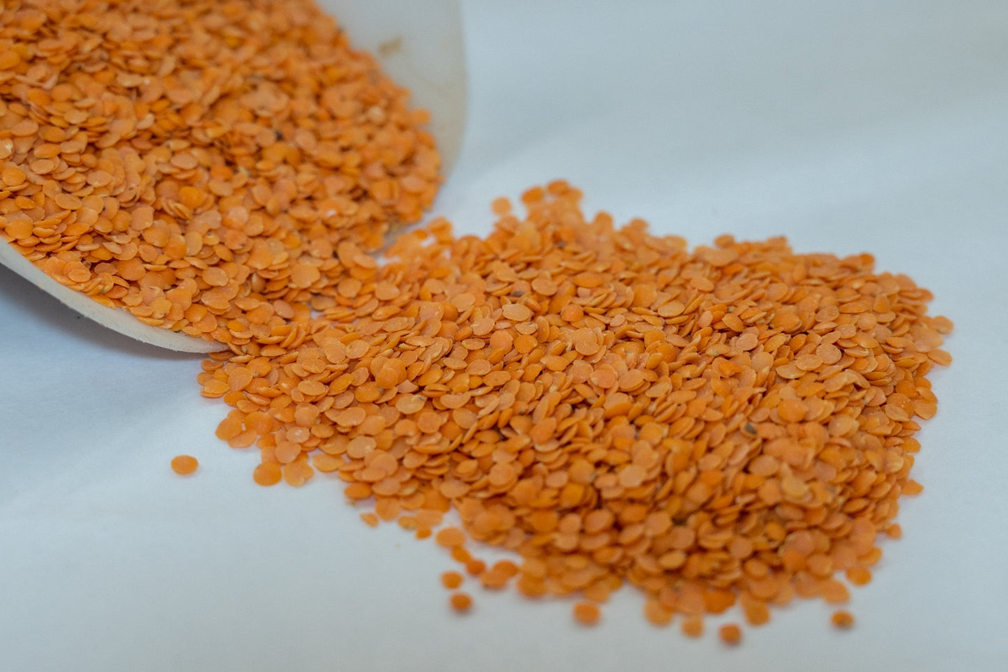 Lenticchia Decorticata