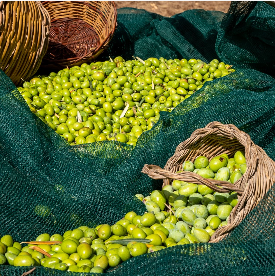 Olio Extravergine di oliva 1l